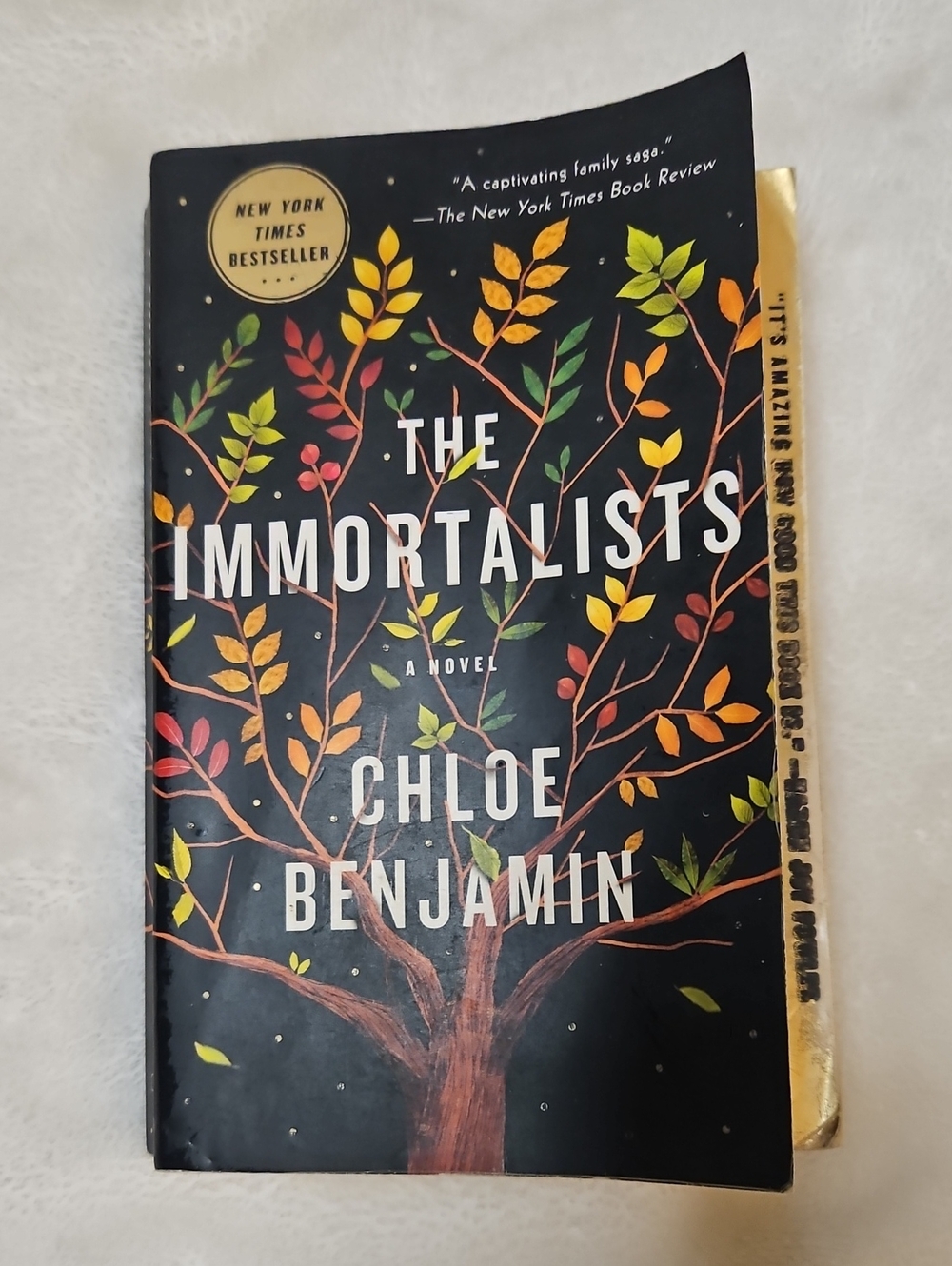 The Immortalists by Chloe Benjamin - Paperback Book